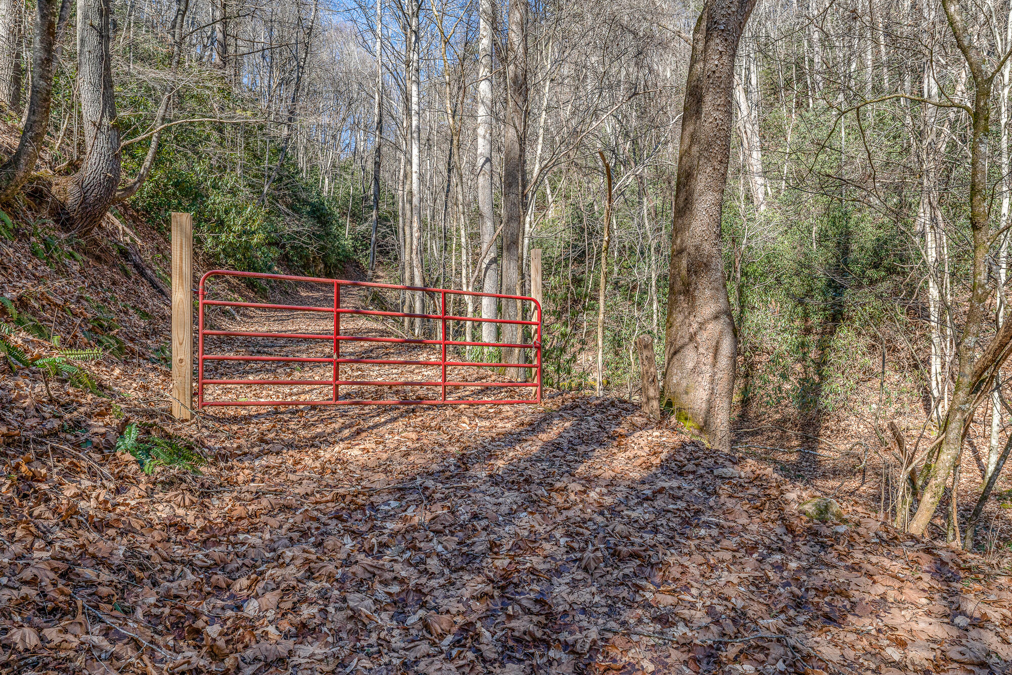 Tbd Copperhead Hollow Road Mountain City, TN 37683 - Photo 21 of 35 DSC07058-Edit-2-2