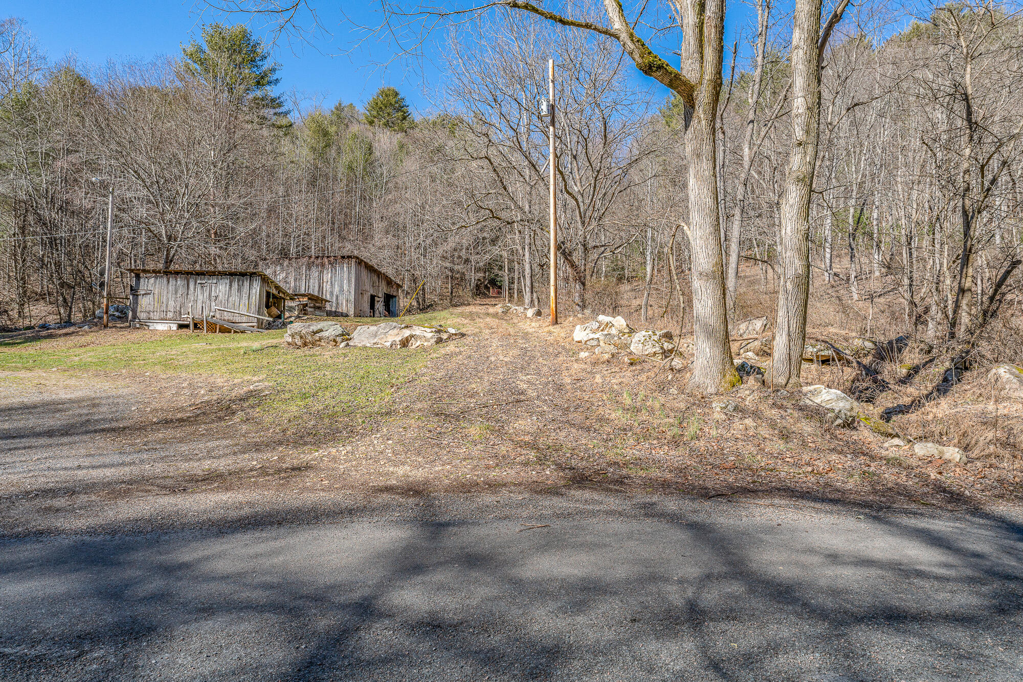 Tbd Copperhead Hollow Road Mountain City, TN 37683 - Photo 22 of 35 DSC07061-Edit-4-4