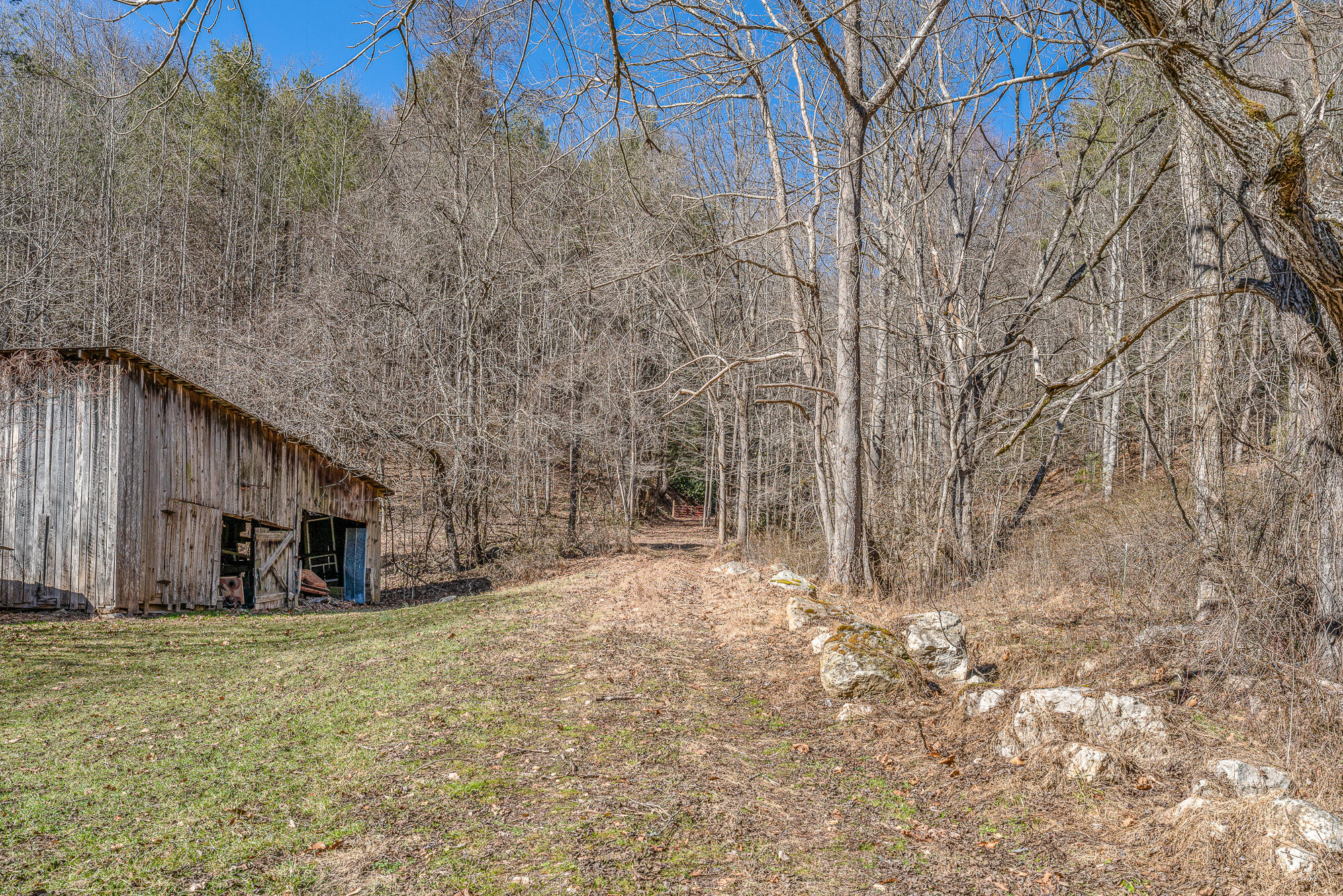 Tbd Copperhead Hollow Road Mountain City, TN 37683 - Photo 23 of 35 DSC07057-Edit-1-1