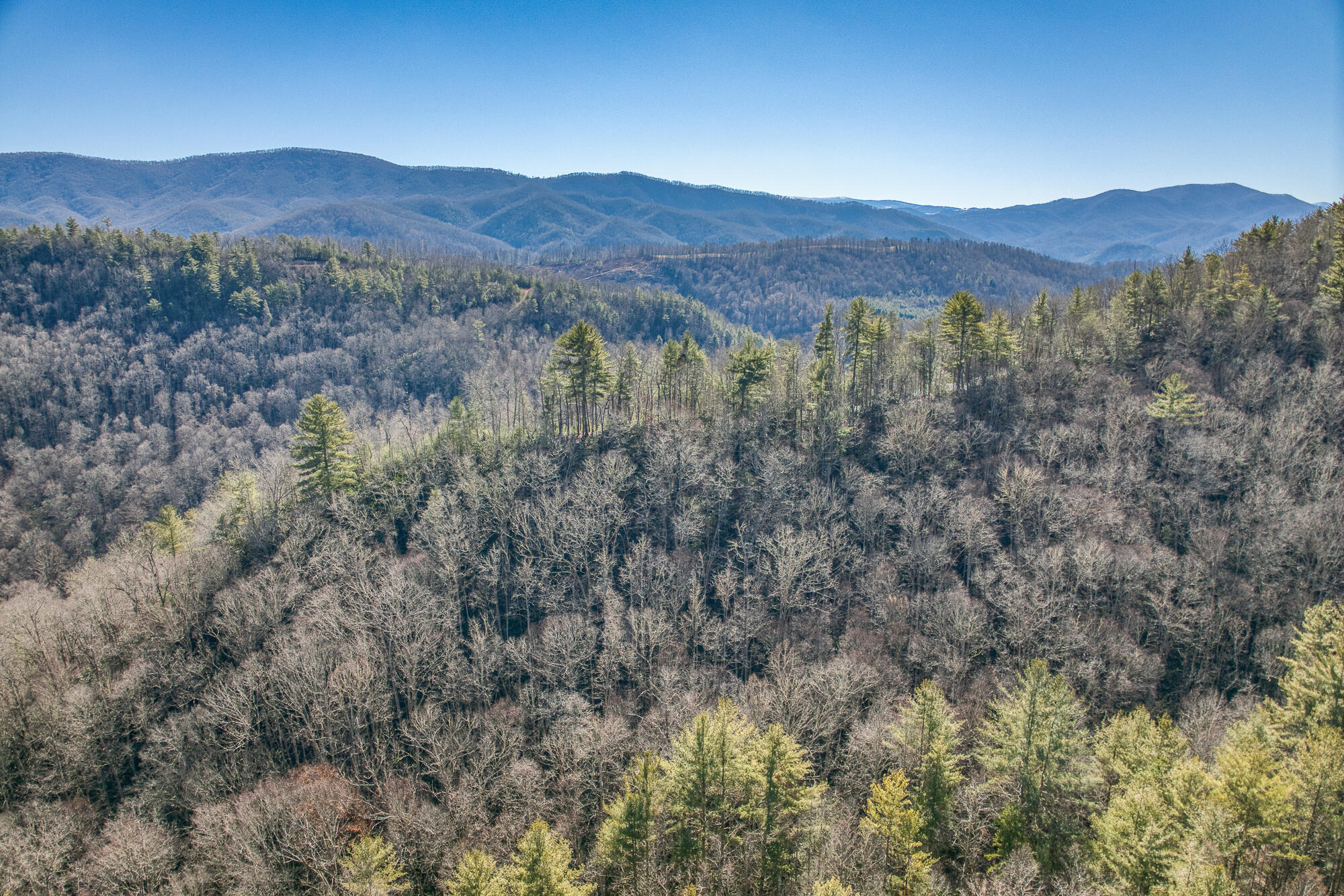 Tbd Copperhead Hollow Road Mountain City, TN 37683 - Photo 29 of 35 1502CHH_DJI_0046-9-7