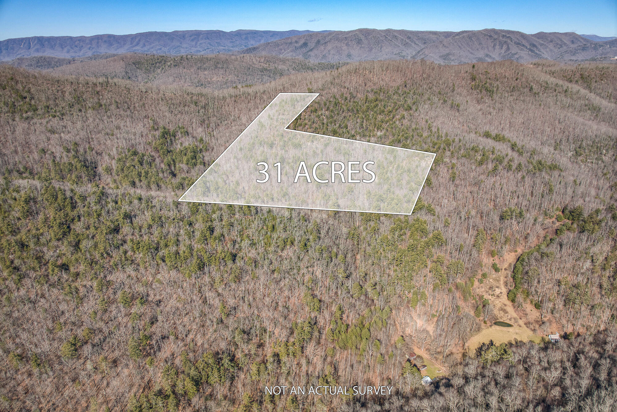 Tbd Copperhead Hollow Road Mountain City, TN 37683 - Photo 3 of 35 overlay_3-11