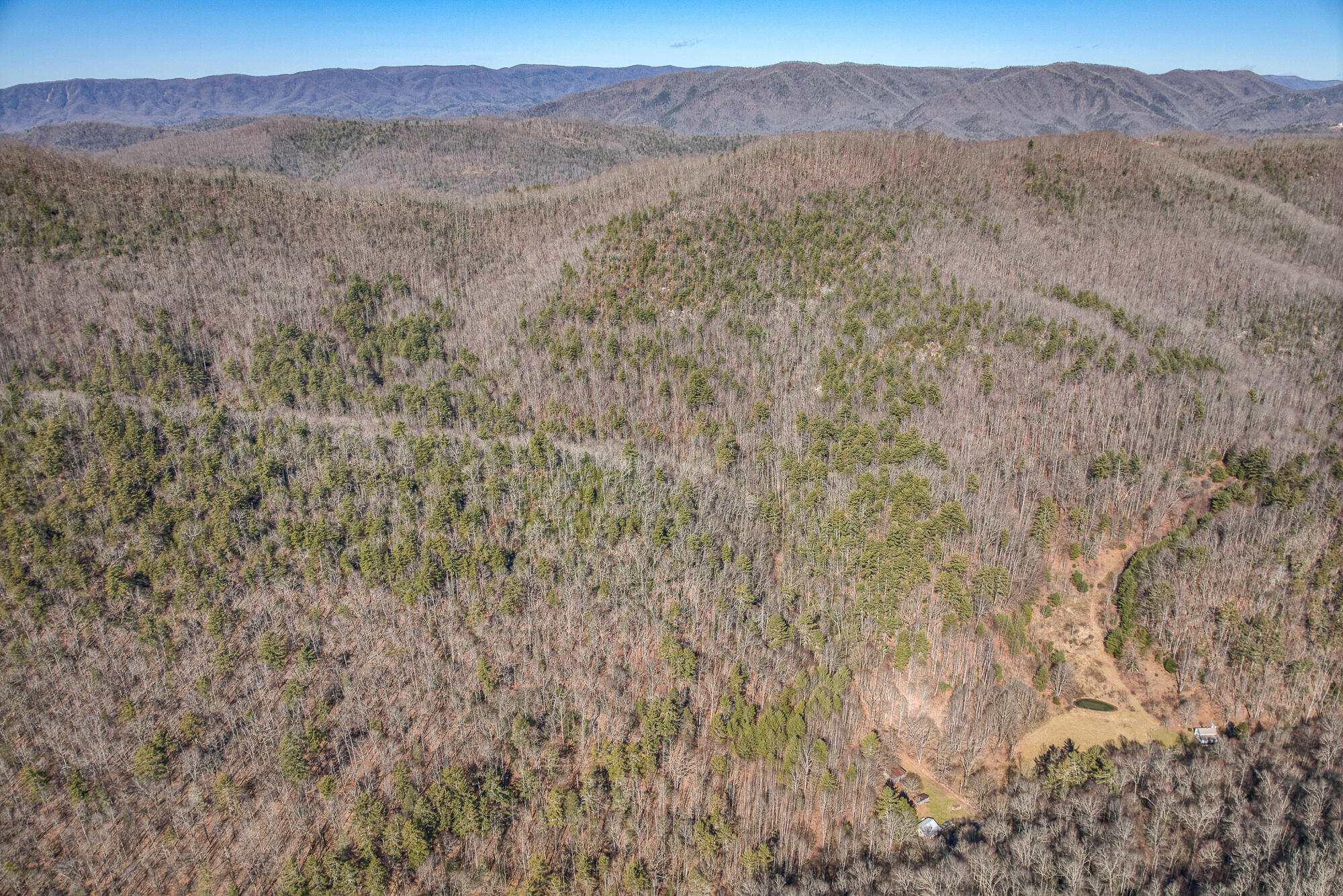 Tbd Copperhead Hollow Road Mountain City, TN 37683 - Photo 31 of 35 1502CHH_DJI_0078-12-10