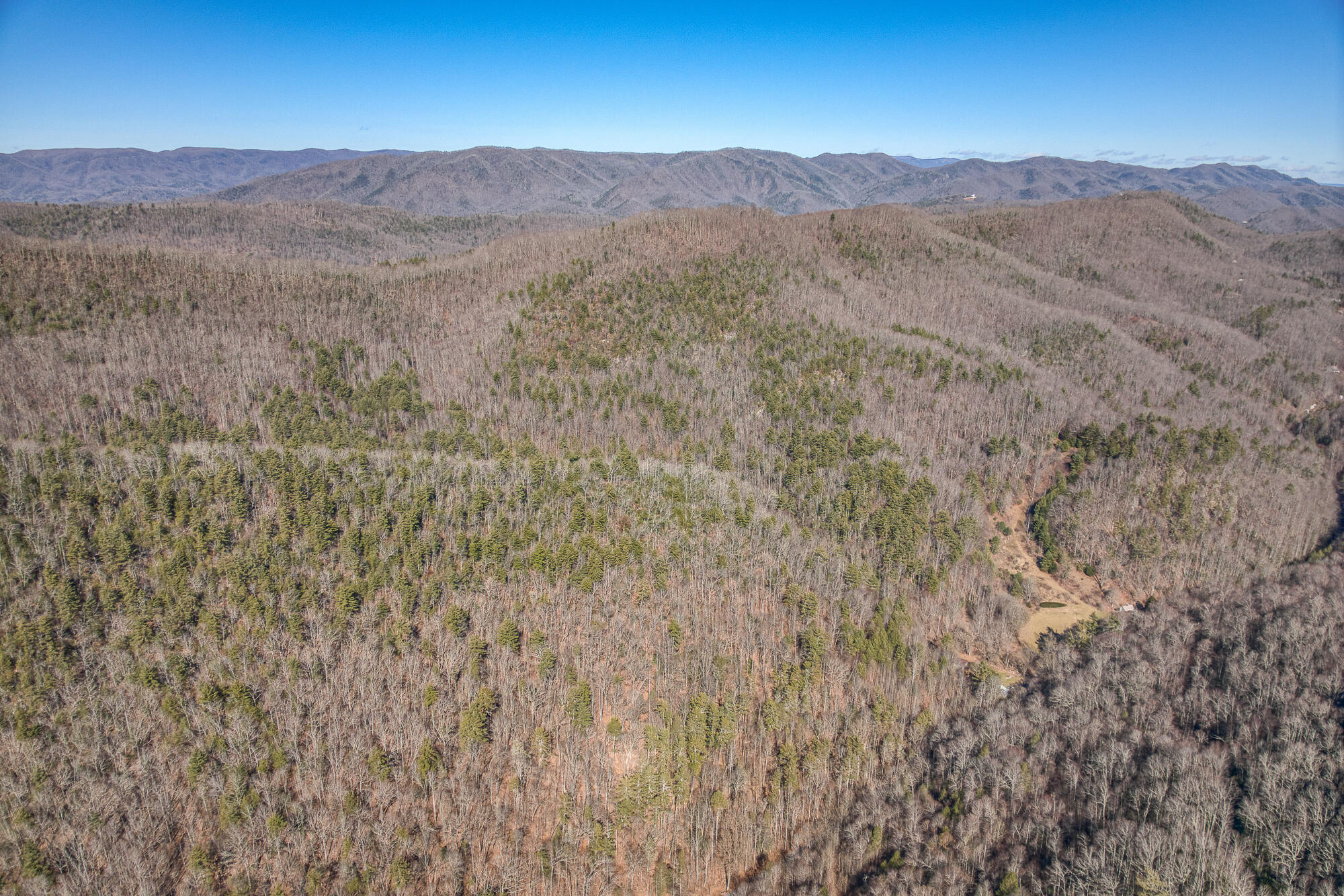 Tbd Copperhead Hollow Road Mountain City, TN 37683 - Photo 32 of 35 1502CHH_DJI_0083-13-12
