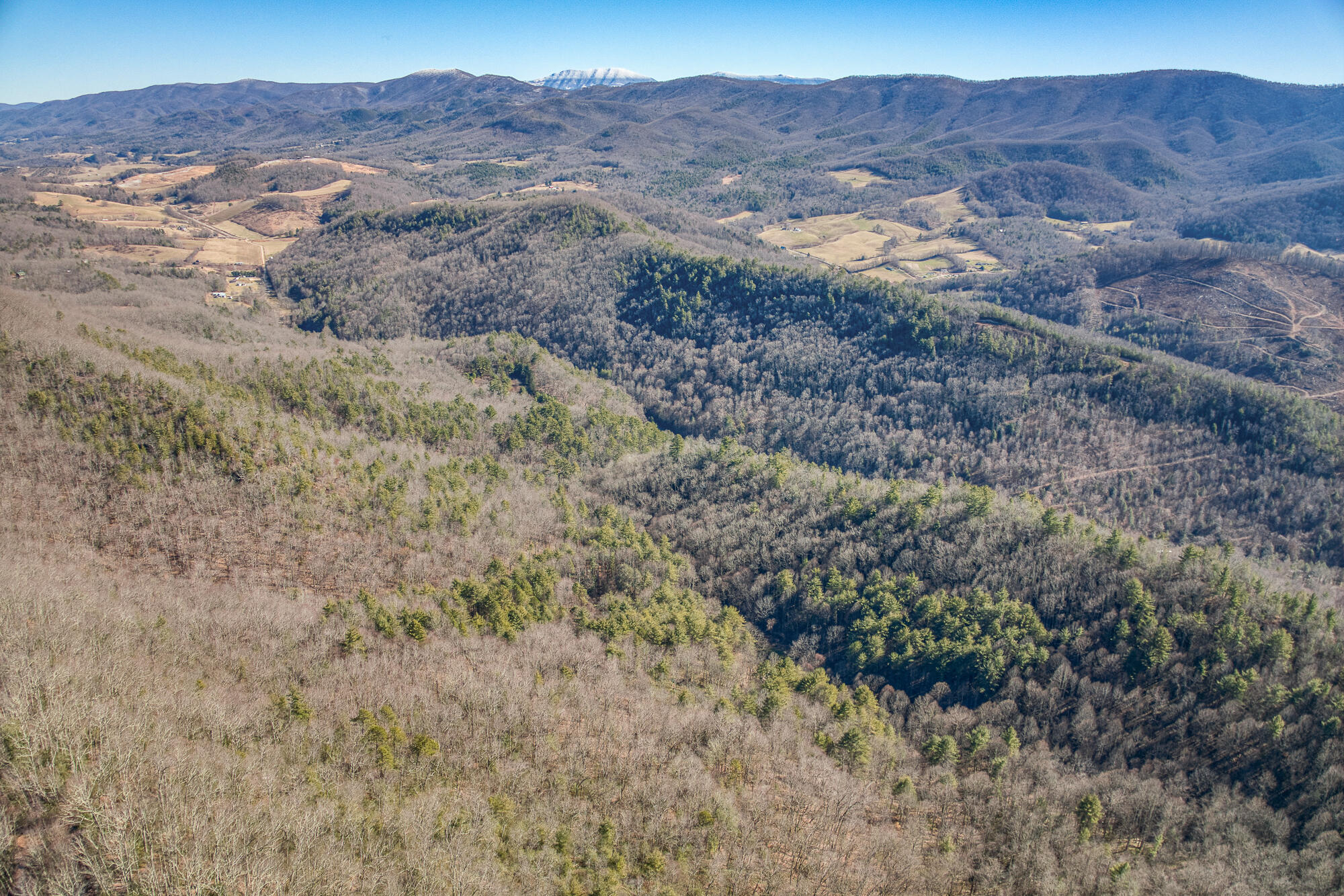 Tbd Copperhead Hollow Road Mountain City, TN 37683 - Photo 33 of 35 1502CHH_DJI_0093-14-13