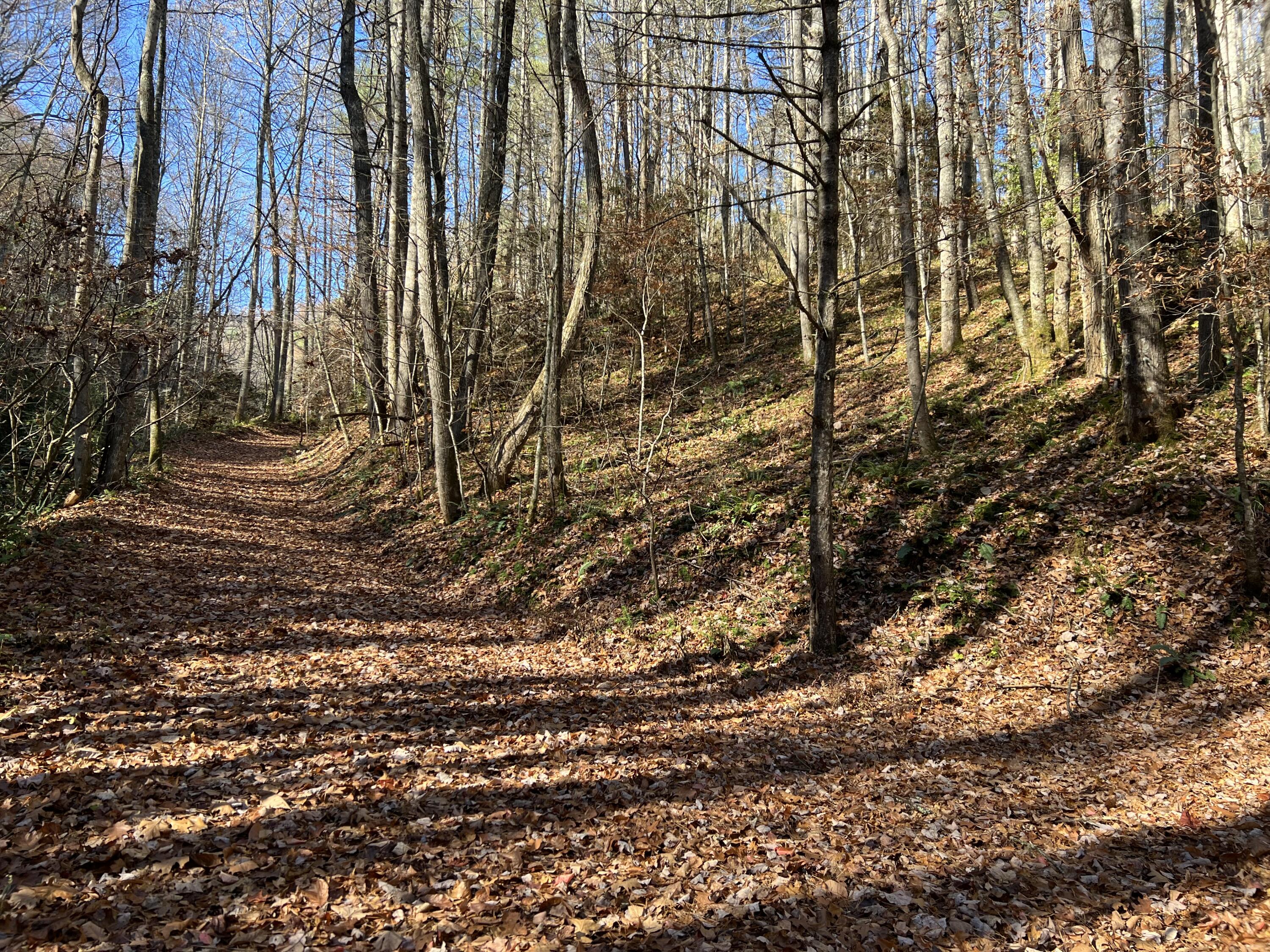 Tbd Copperhead Hollow Road Mountain City, TN 37683 - Photo 4 of 35 Photo Nov 04 2022, 11 18 26 AM