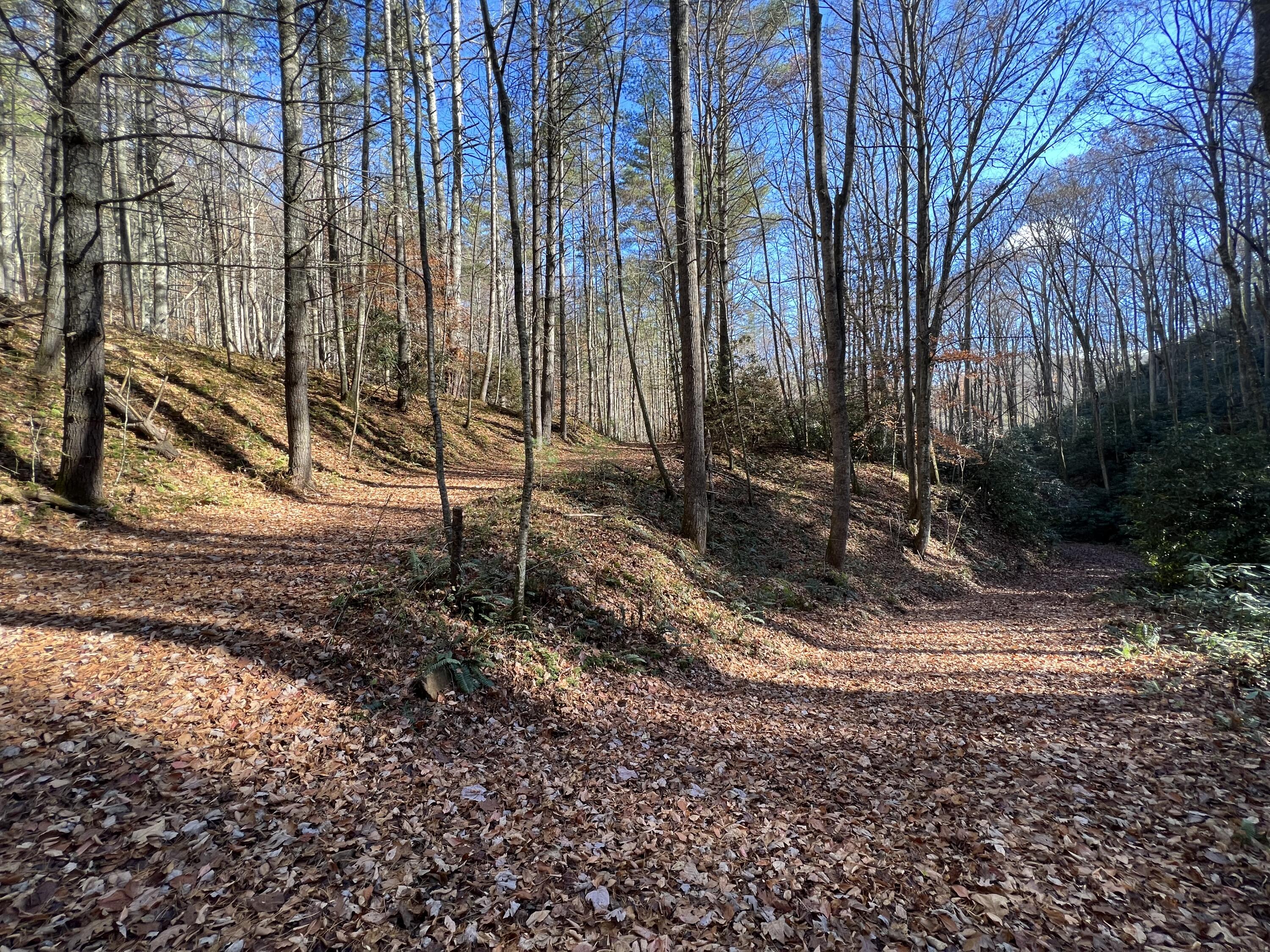 Tbd Copperhead Hollow Road Mountain City, TN 37683 - Photo 5 of 35 Photo Nov 04 2022, 11 18 31 AM