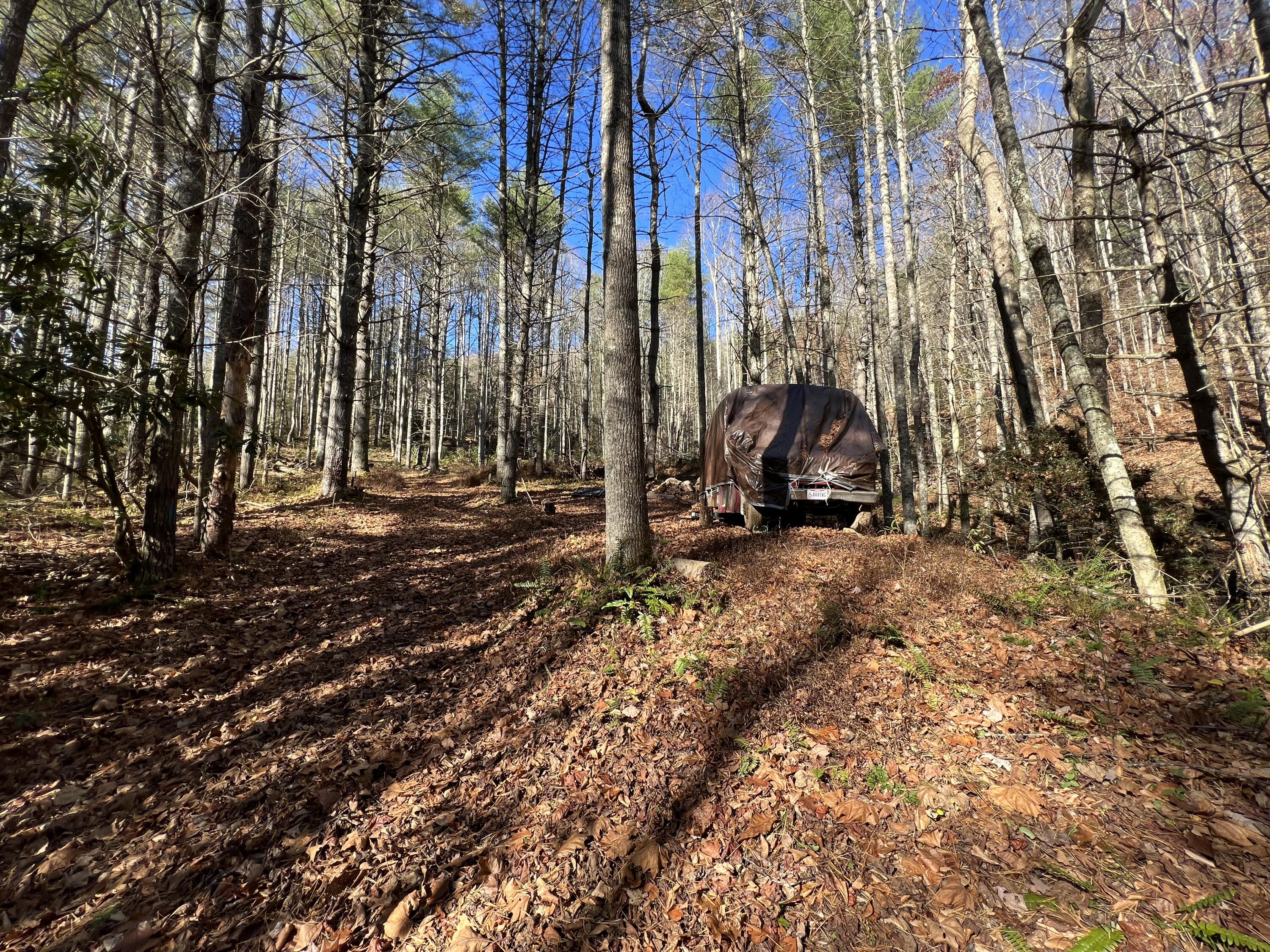 Tbd Copperhead Hollow Road Mountain City, TN 37683 - Photo 6 of 35 Photo Nov 04 2022, 11 19 41 AM