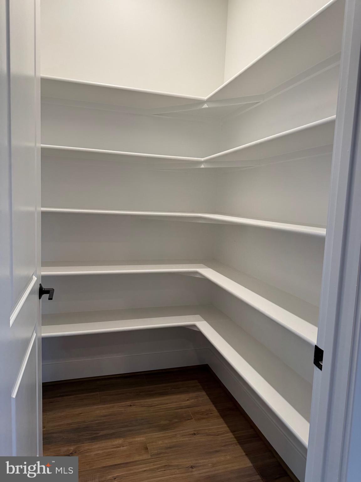9779 Azure Alley Bethesda, MD 20817 - Photo 15 of 48 Large pantry for the kitchen