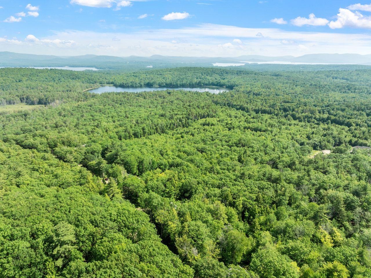 0 North Line Road Wolfeboro, NH 03894 - Photo 15 of 16