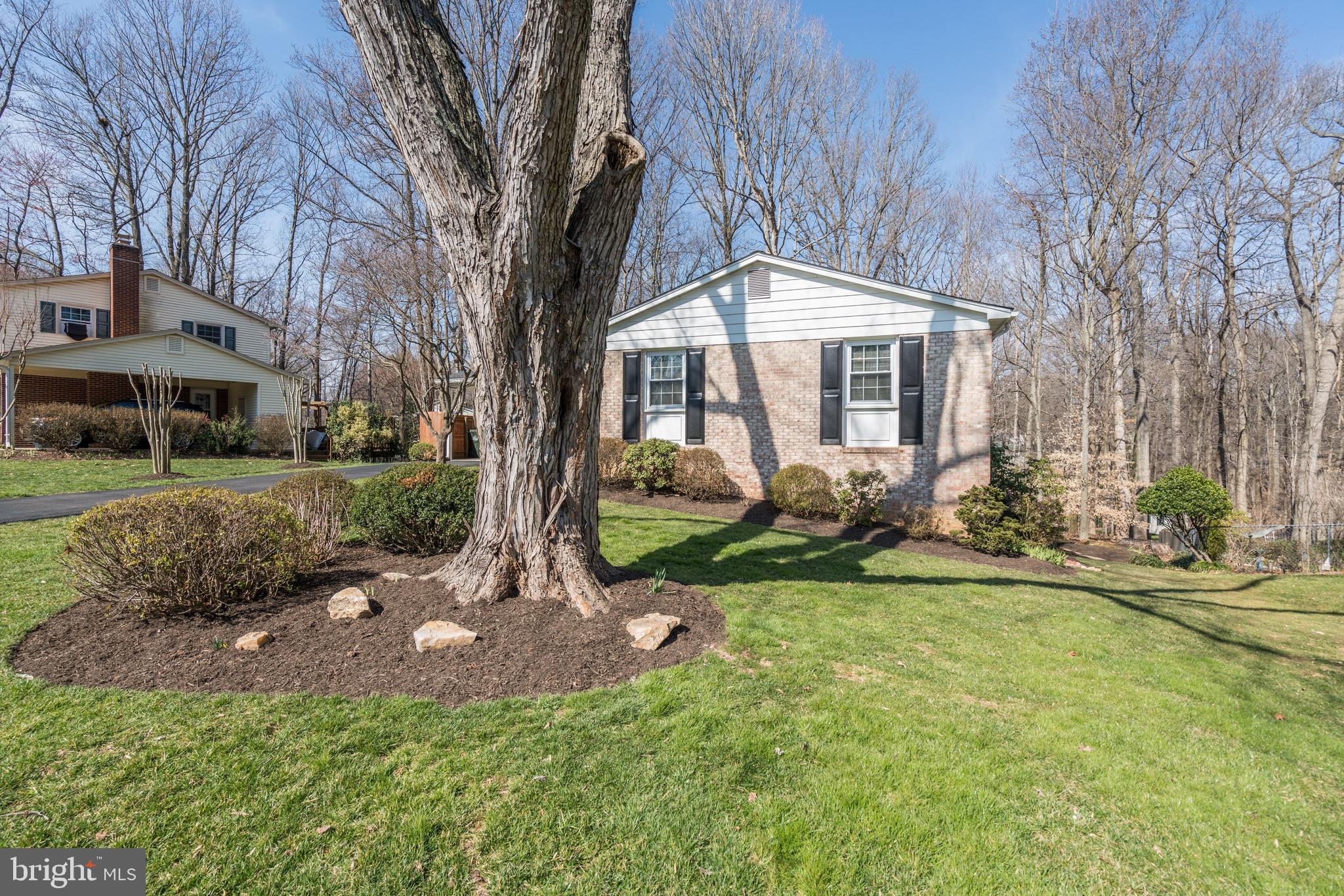 7104 Bear Court Springfield, VA 22153 - Photo 6 of 67 Gallery Image 6