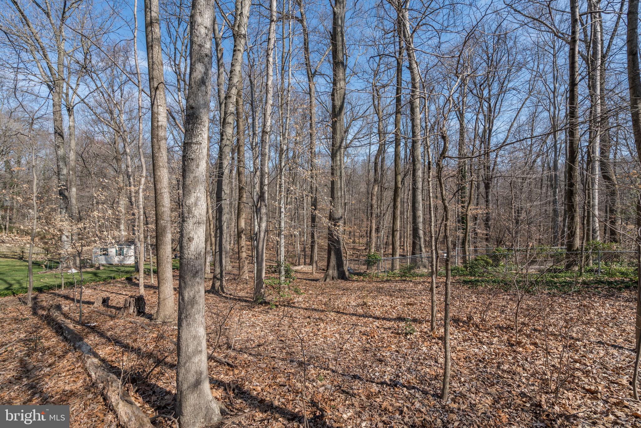 7104 Bear Court Springfield, VA 22153 - Photo 60 of 67 Gallery Image 60