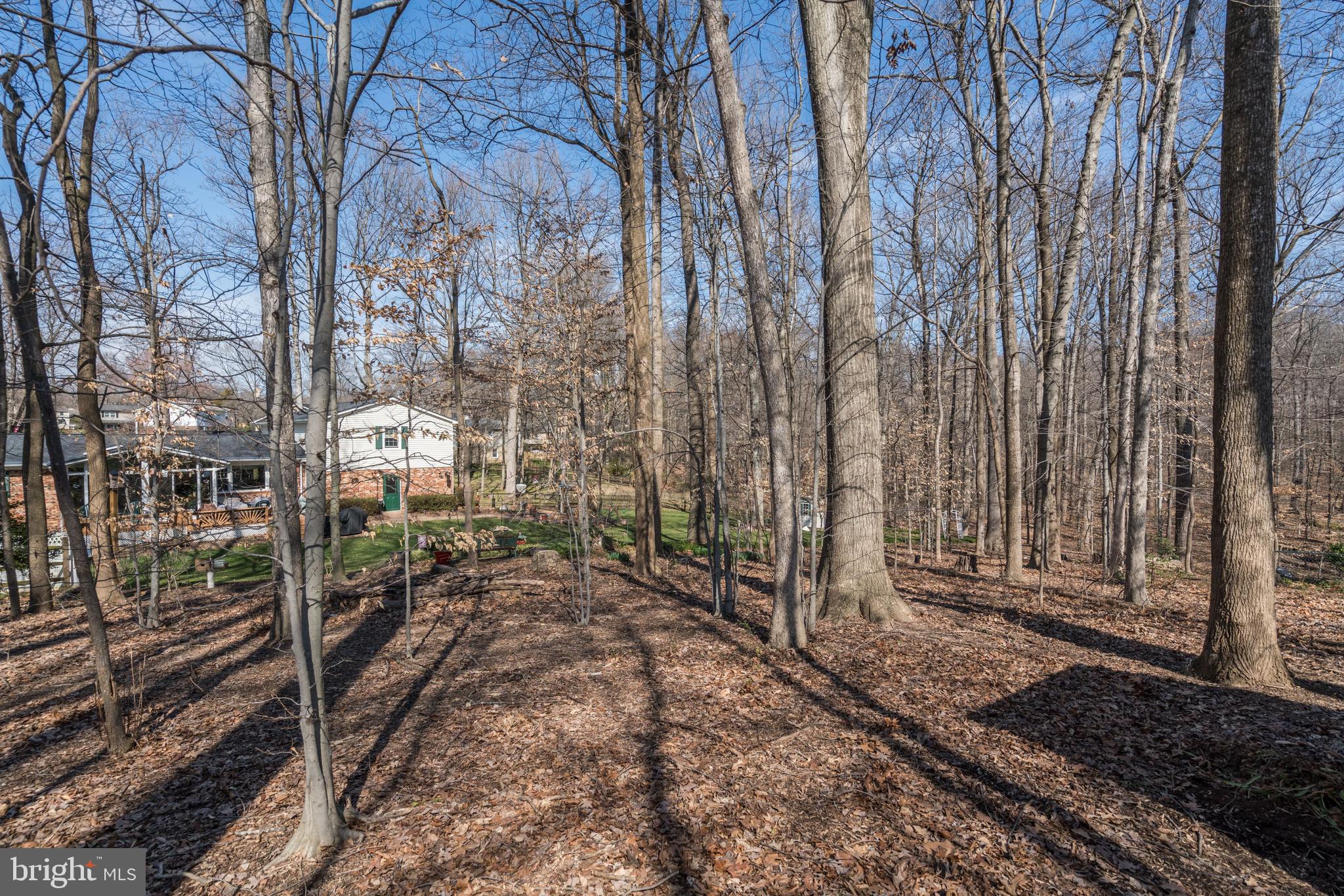 7104 Bear Court Springfield, VA 22153 - Photo 63 of 67 Gallery Image 63