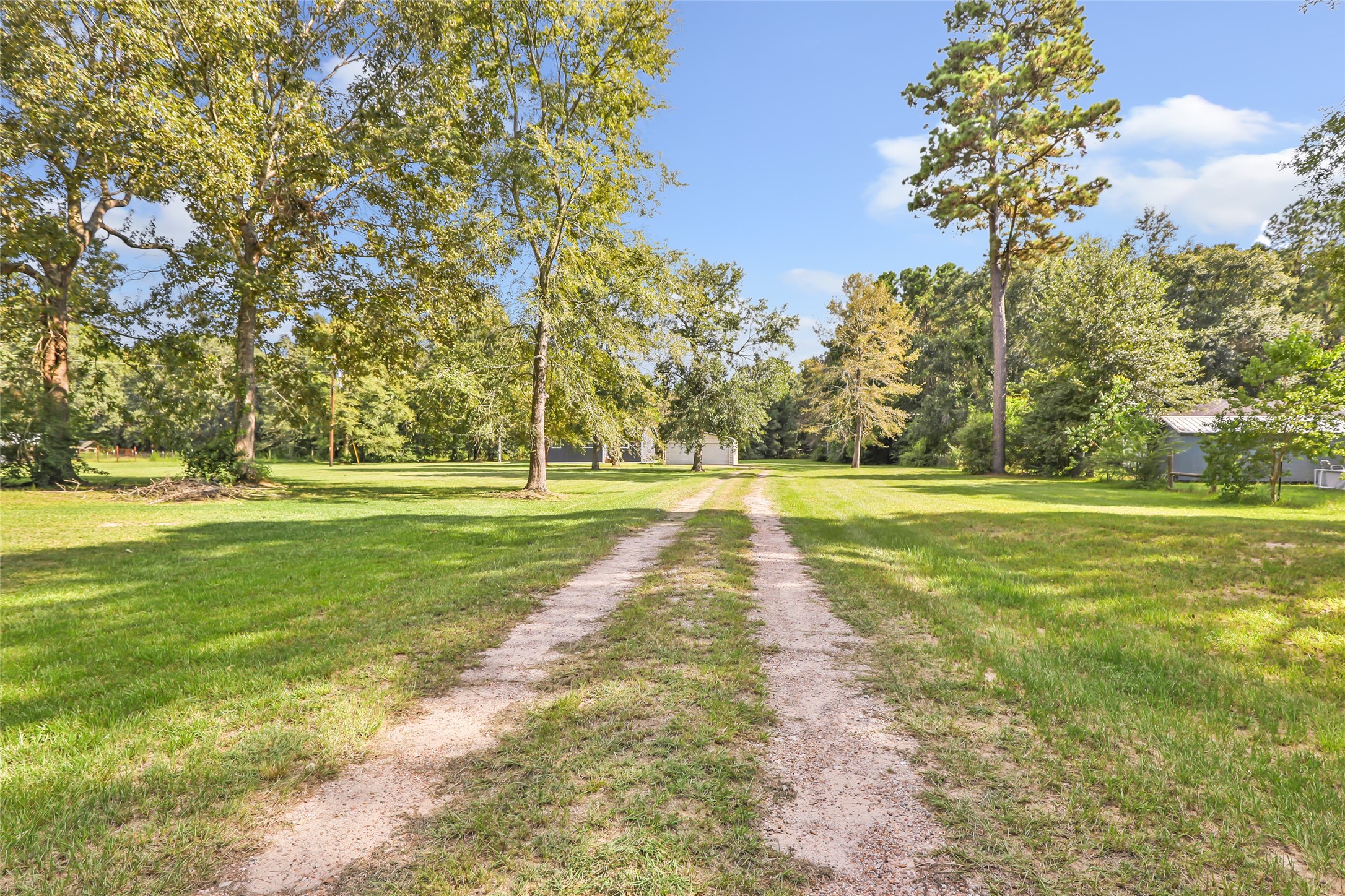 26864 Morgan Cemetery Road Cleveland, TX 77328 - Photo 11 of 26 a view of a ground with large trees