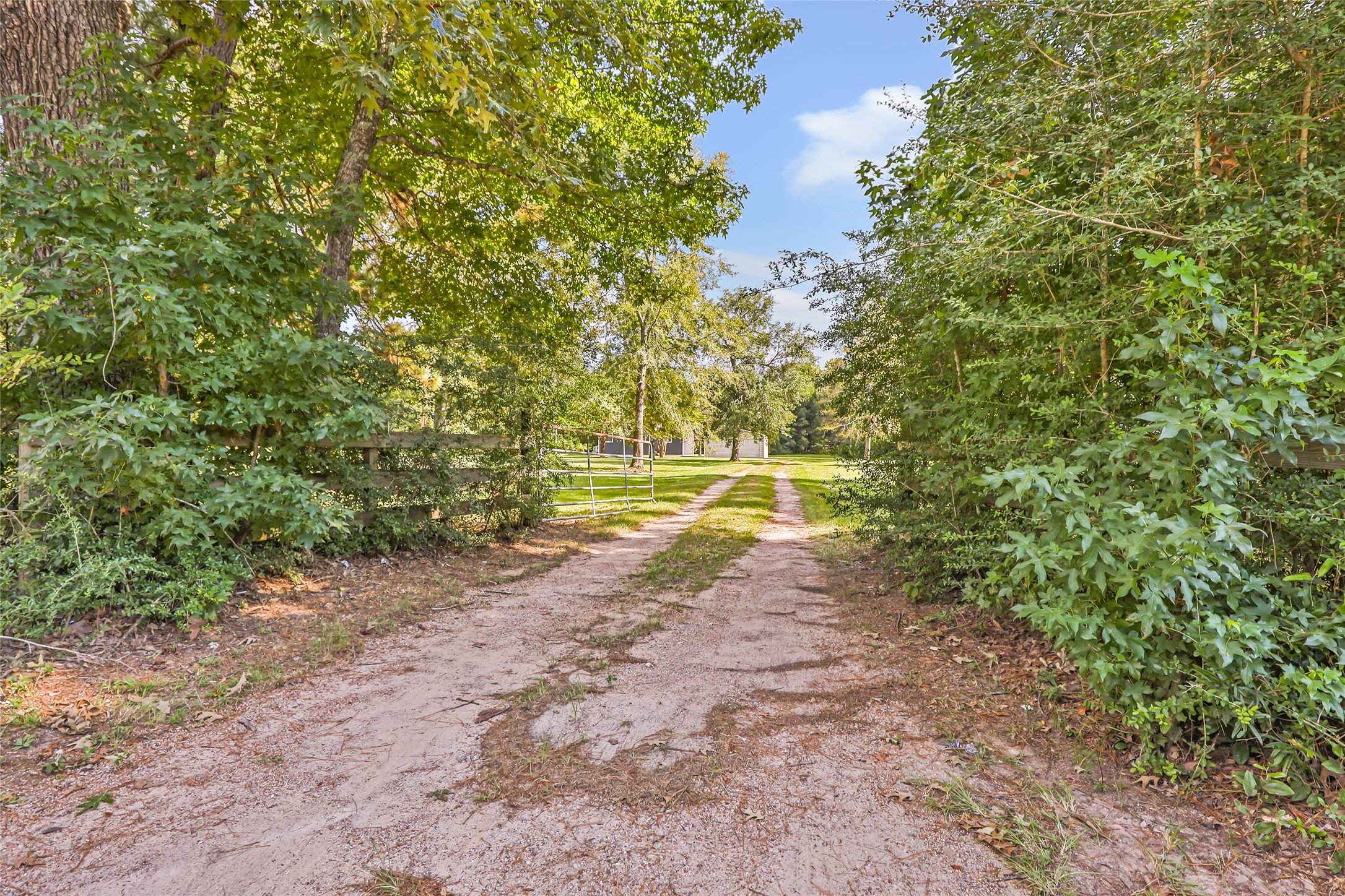 26864 Morgan Cemetery Road Cleveland, TX 77328 - Photo 12 of 26 a view of a yard with a tree