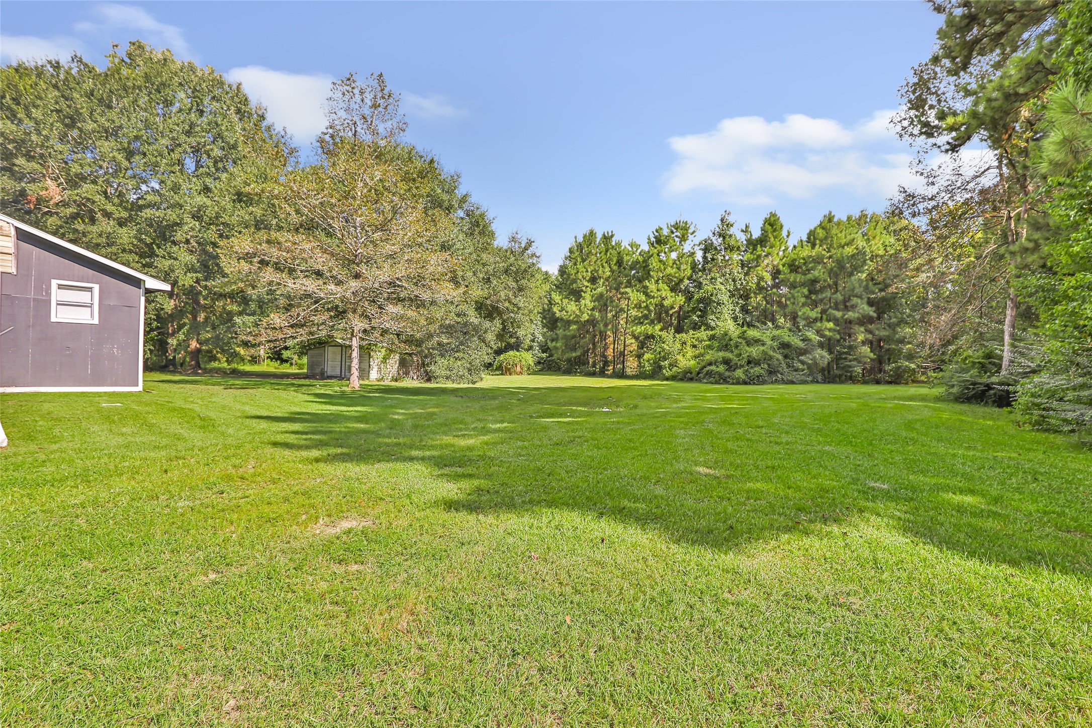 26864 Morgan Cemetery Road Cleveland, TX 77328 - Photo 4 of 26 a view of a field with an trees