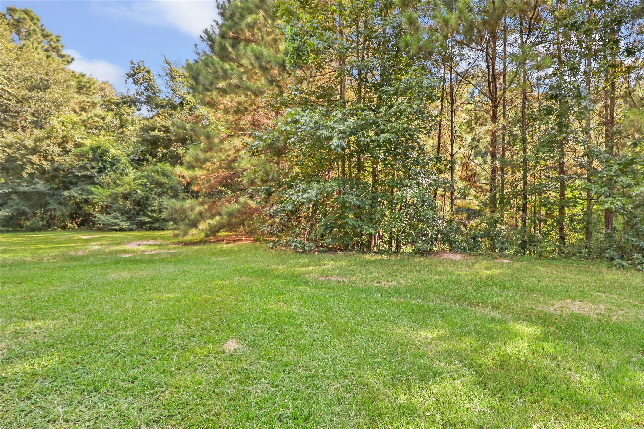 26864 Morgan Cemetery Road Cleveland, TX 77328 - Photo 7 of 26 a view of yard with green space