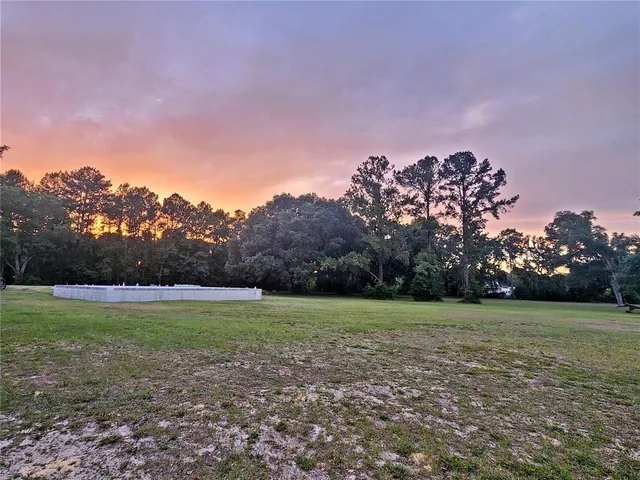 a view of a field with trees in the background