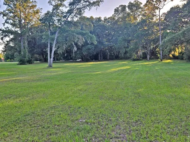 a view of a field of grass and trees