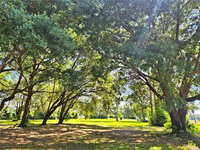 a view of swimming pool and trees in the background