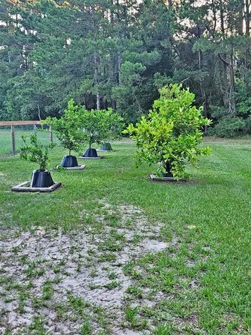 a view of yard with green space