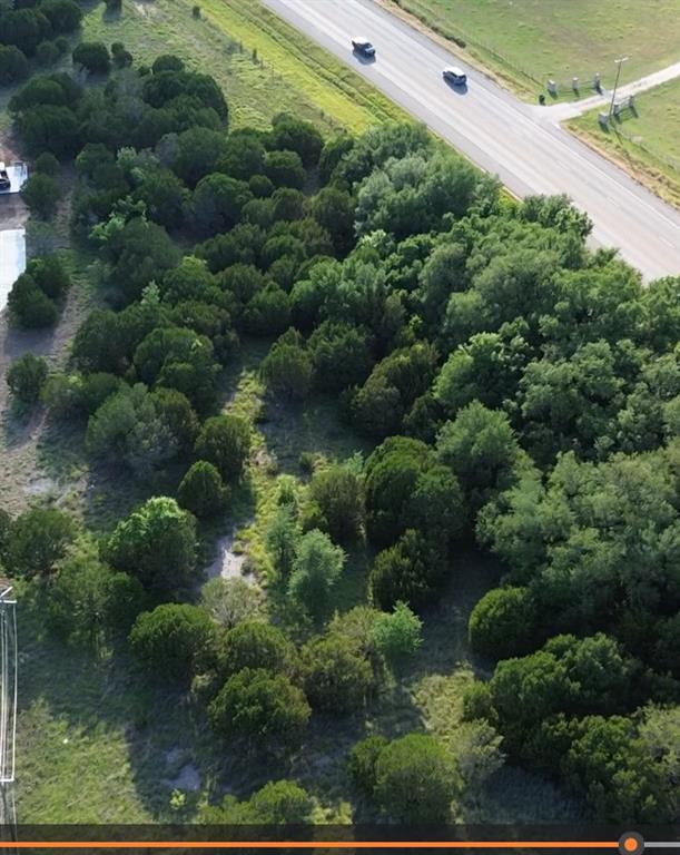 1129 County Road Nemo, TX 76070 - Photo 4 of 29 a plant with lots of trees