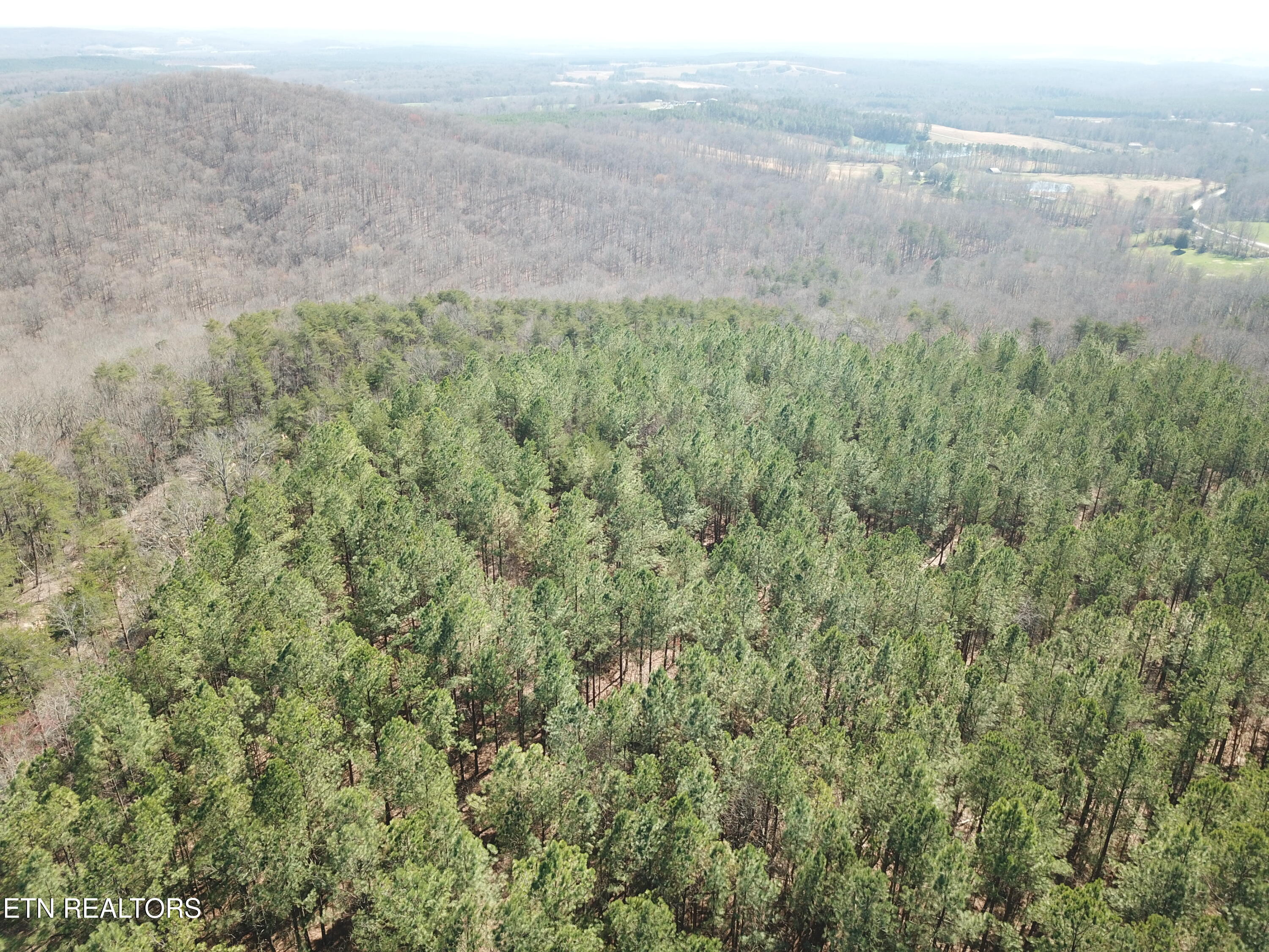 Buckridge Road Crossville, TN 38572 - Photo 14 of 26 DJI_0072