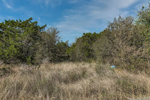 $140,000 | Lot 229 Cr 2748 Mico Tx 78056, Mico, TX 78056
