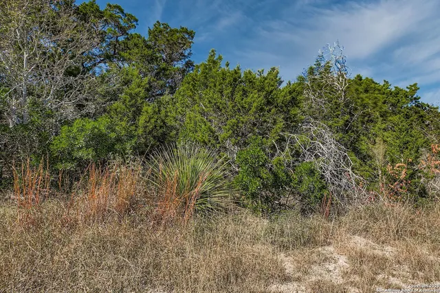 $140,000 | Lot 229 Cr 2748 Mico Tx 78056, Mico, TX 78056