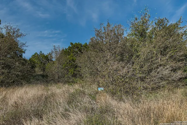 $140,000 | Lot 229 Cr 2748 Mico Tx 78056, Mico, TX 78056