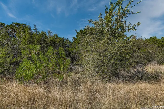 $140,000 | Lot 229 Cr 2748 Mico Tx 78056, Mico, TX 78056