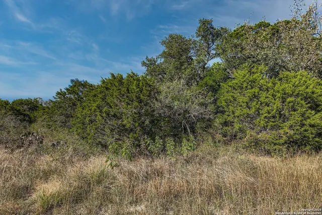 $140,000 | Lot 229 Cr 2748 Mico Tx 78056, Mico, TX 78056