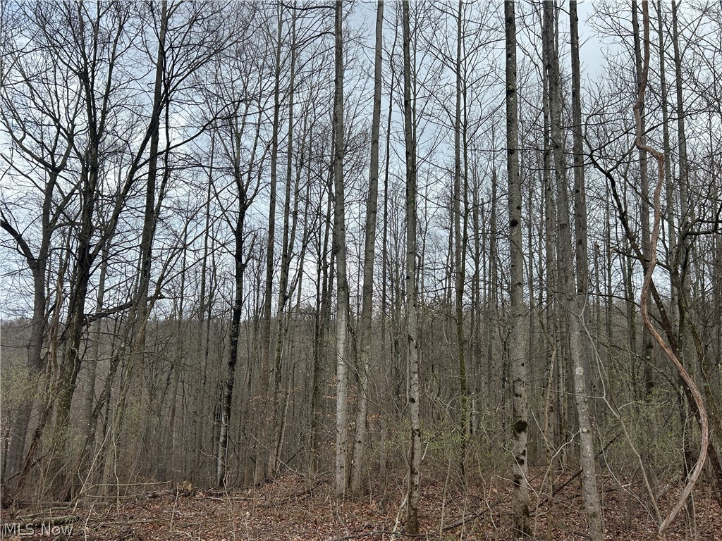 Wilbur Bush Road Crooksville, OH 43731 - Photo 3 of 19