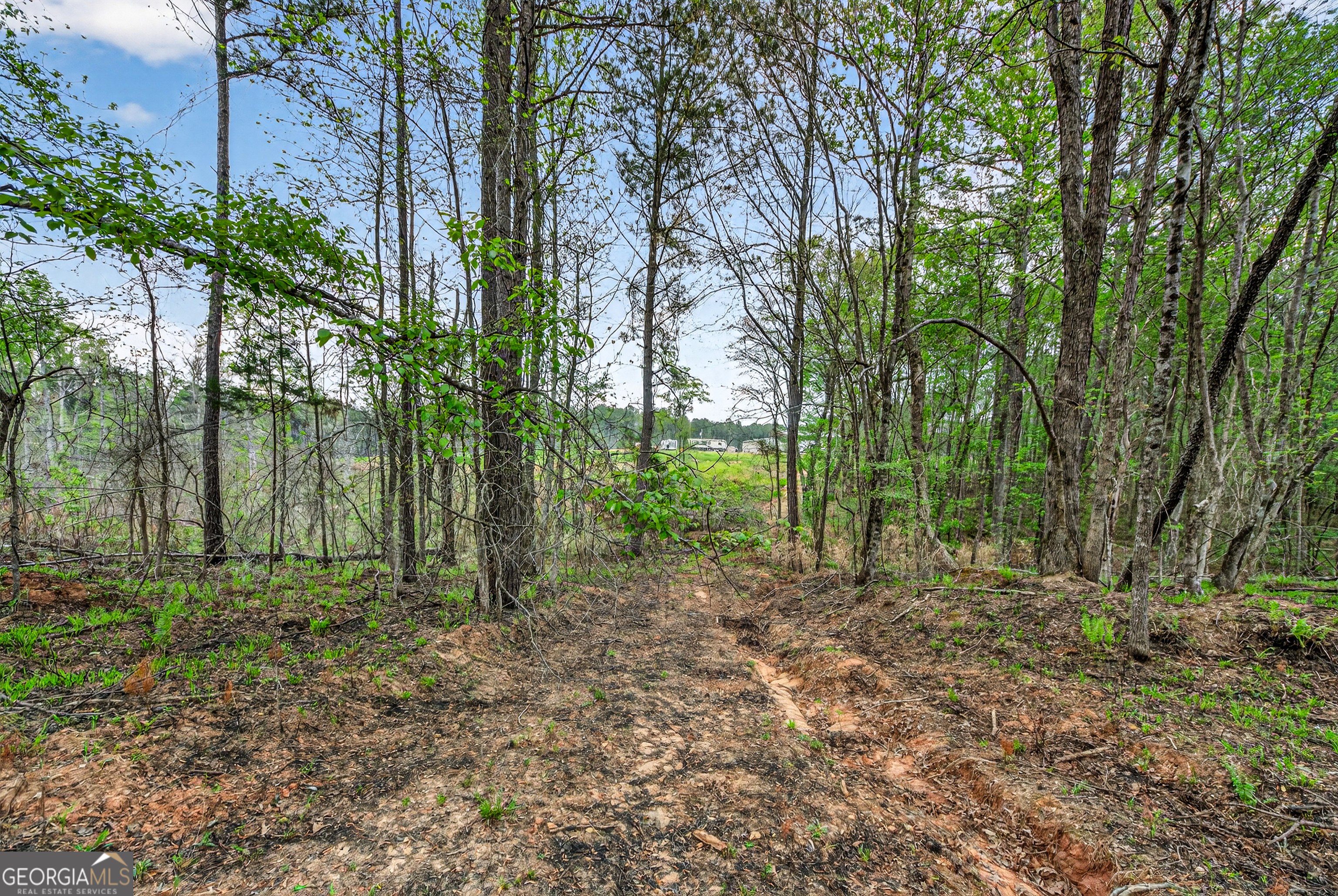 669 Pecan Grove Road Washington, GA 30673 - Photo 32 of 56 Gallery Image 32