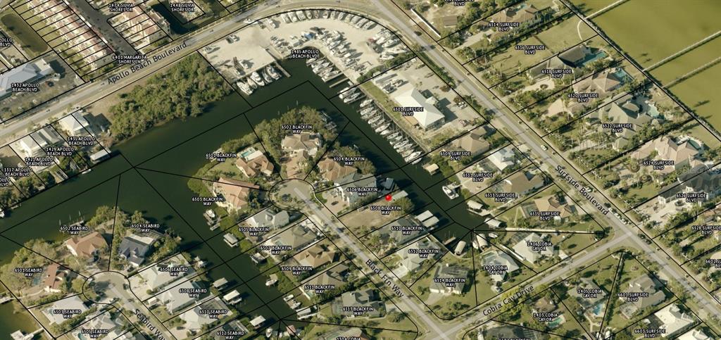 6508 Black Fin Way Apollo Beach, FL 33572 - Photo 13 of 19