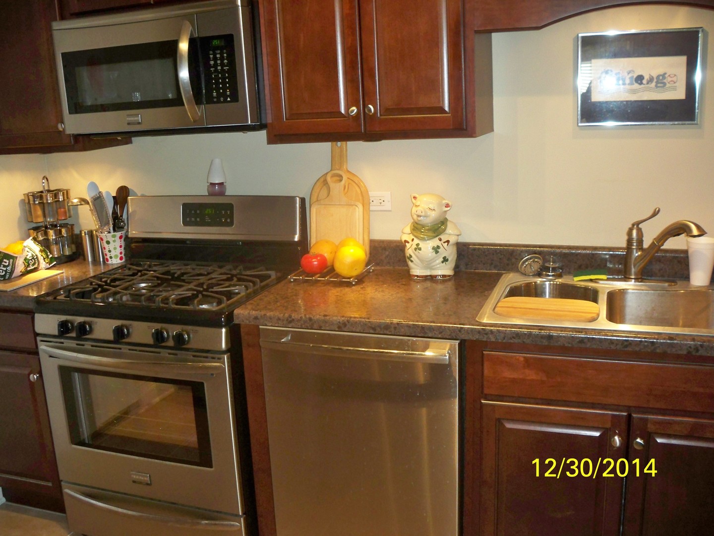4721 St Joseph Creek Road, Unit 2A Lisle, IL 60532 - Photo 4 of 13