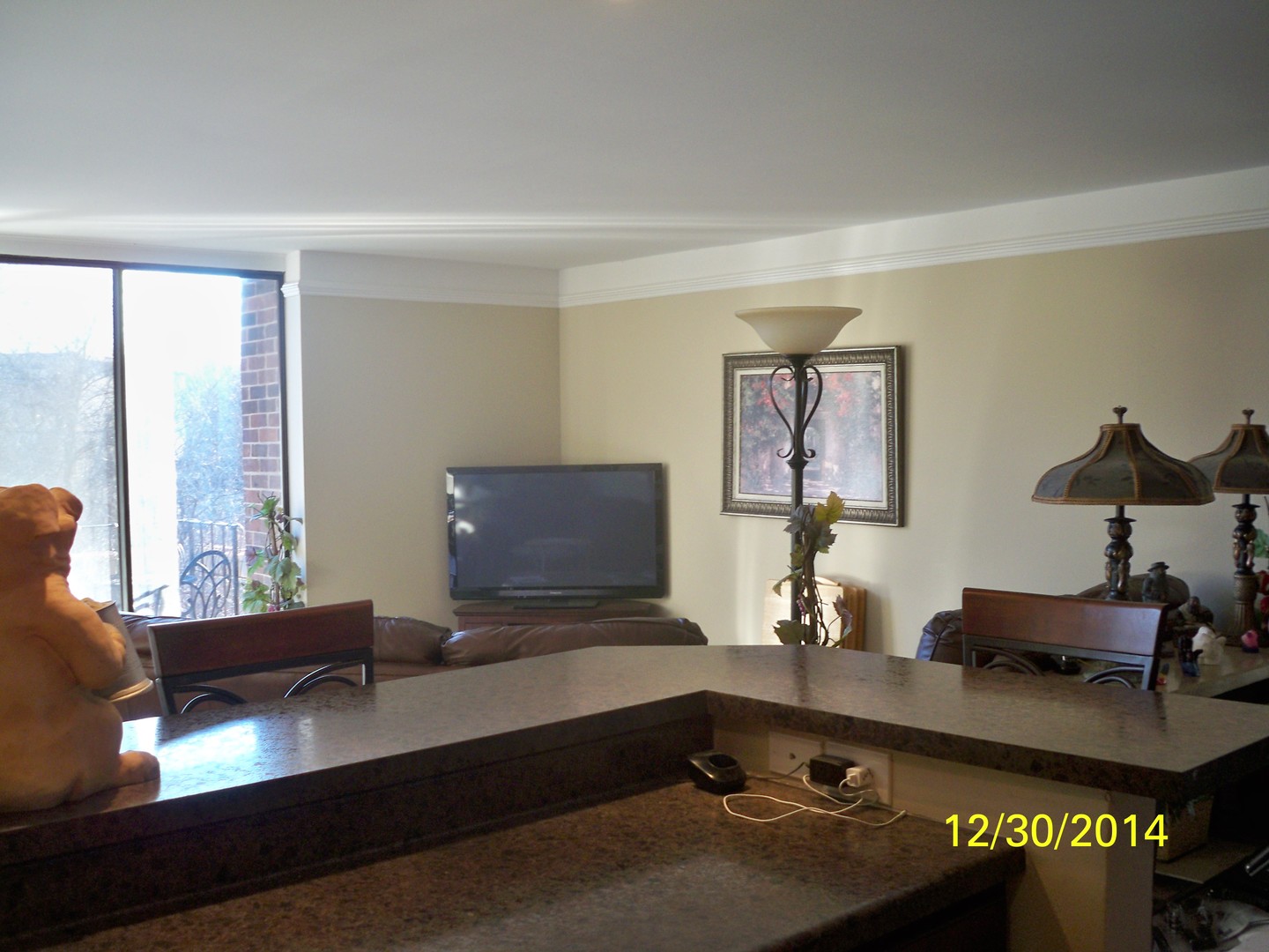4721 St Joseph Creek Road, Unit 2A Lisle, IL 60532 - Photo 5 of 13