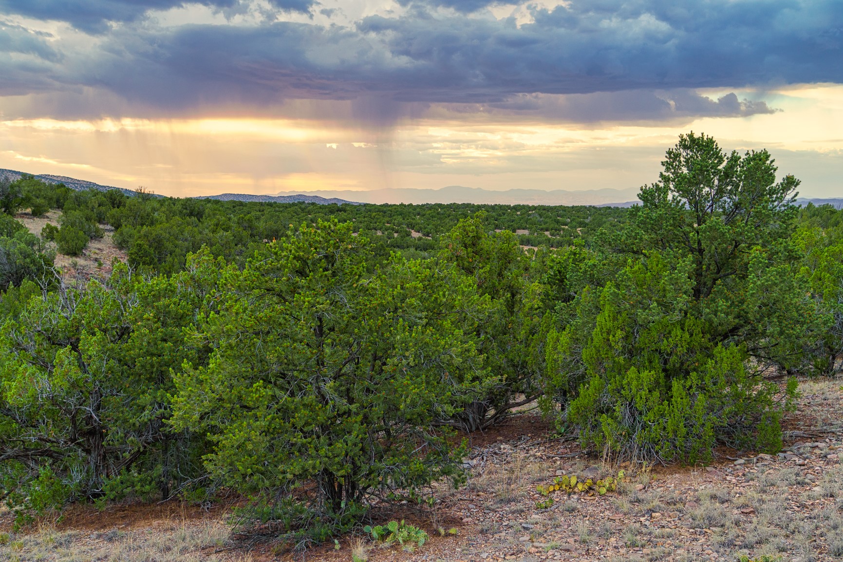 176 Wagon Trail Road Cerrillos, NM 87010 - Photo 21 of 35