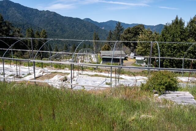 5270 Wilder Ridge Road Garberville, CA 95542 - Photo 17 of 34 IMG_4637