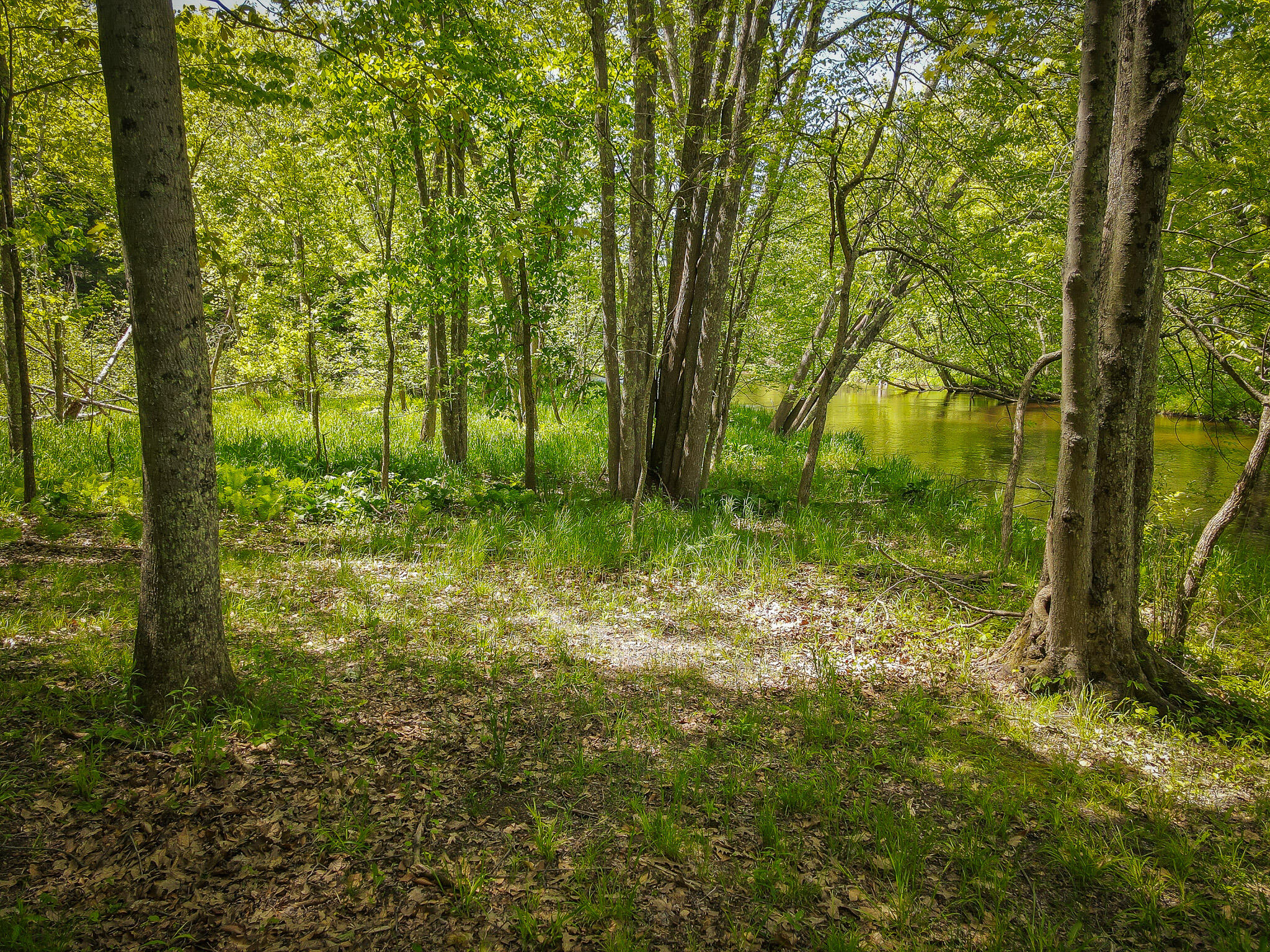 Parcel A East Conrad Road Scottville, MI 49454 - Photo 4 of 37 DJI_0474