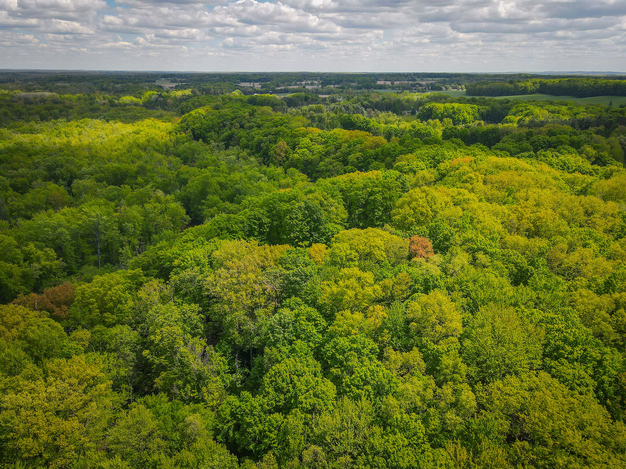 Parcel A East Conrad Road Scottville, MI 49454 - Photo 6 of 37 DJI_0480