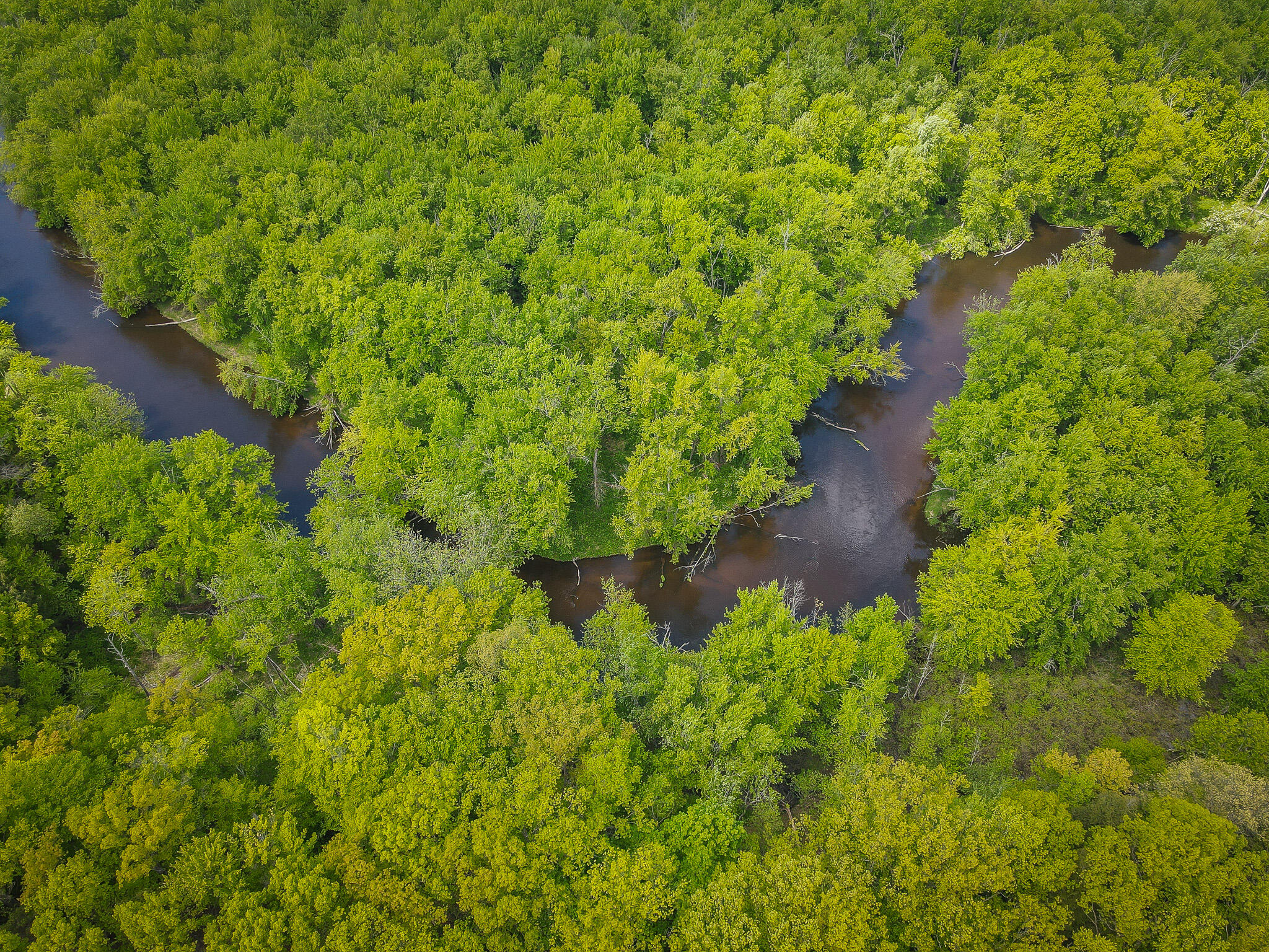 Parcel A East Conrad Road Scottville, MI 49454 - Photo 7 of 37 DJI_0485