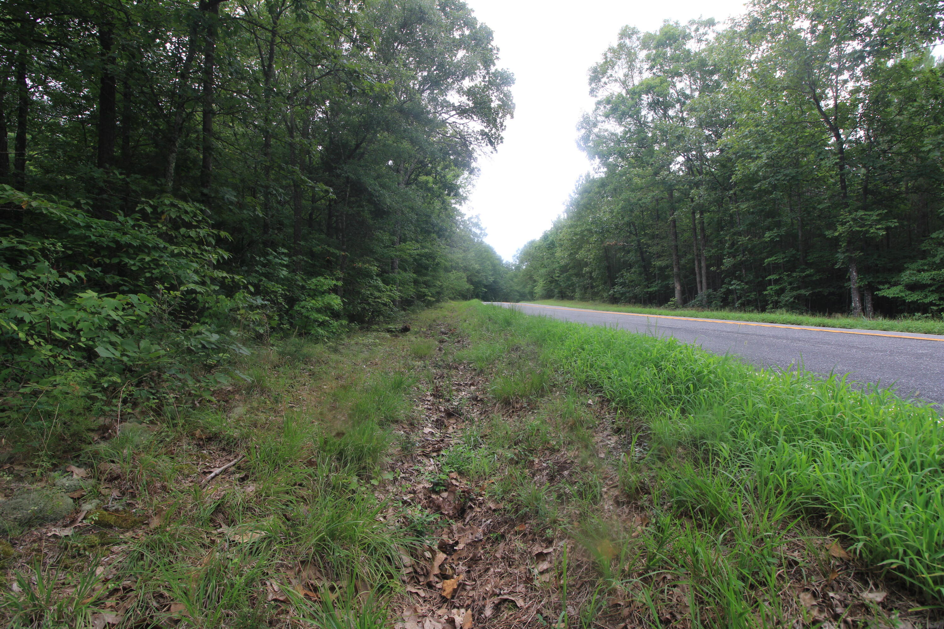 0 MacDonald Road Scottsburg, VA 24589 - Photo 5 of 14 05_beyc6a700d313dbef