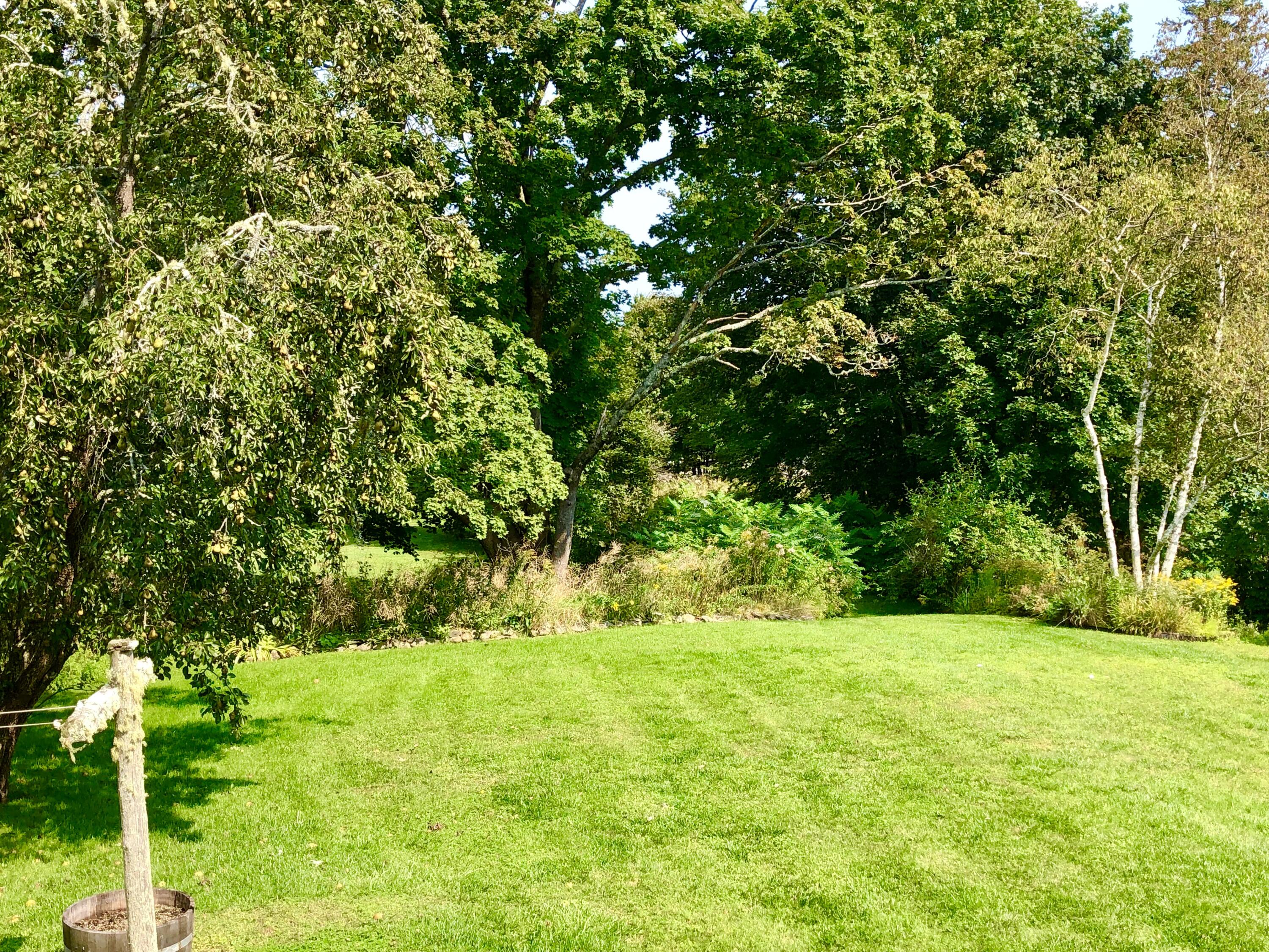 104 Bernard Road Bernard, ME 04612 - Photo 49 of 63 Back yard