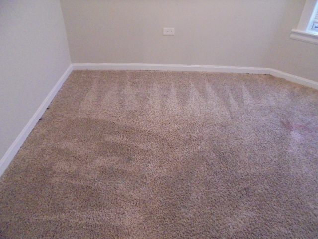 6429 South Morgan Street Chicago, IL 60621 - Photo 15 of 17 Gallery Image 15