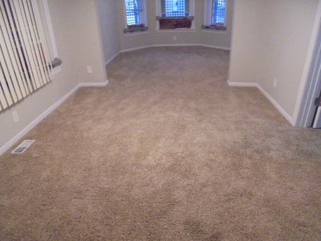 6429 South Morgan Street Chicago, IL 60621 - Photo 3 of 17 Gallery Image 3