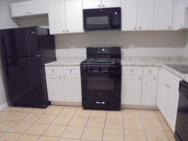 6429 South Morgan Street Chicago, IL 60621 - Photo 4 of 17 Gallery Image 4