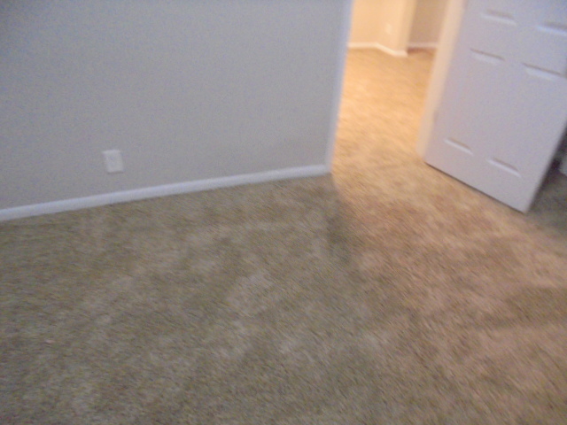 6429 South Morgan Street Chicago, IL 60621 - Photo 7 of 17 Gallery Image 7