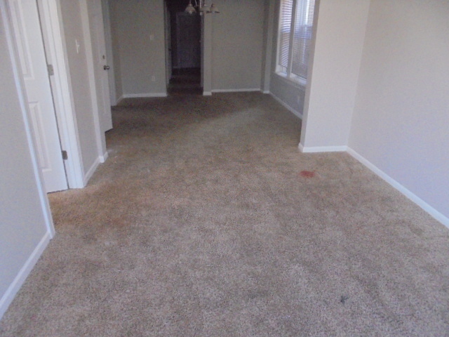 6429 South Morgan Street Chicago, IL 60621 - Photo 9 of 17 Gallery Image 9