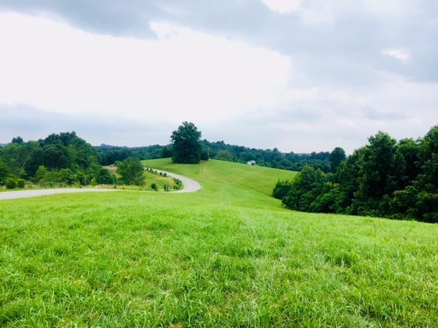 62.22-ac Weed-Keltner Road Columbia, KY 42728 - Photo 1 of 17 Gallery Image 1