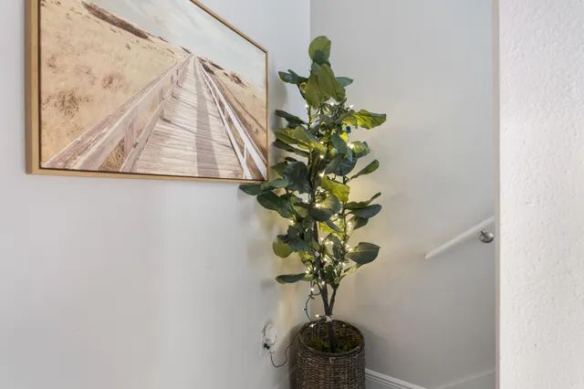 a living room with furniture a couch and a potted plant